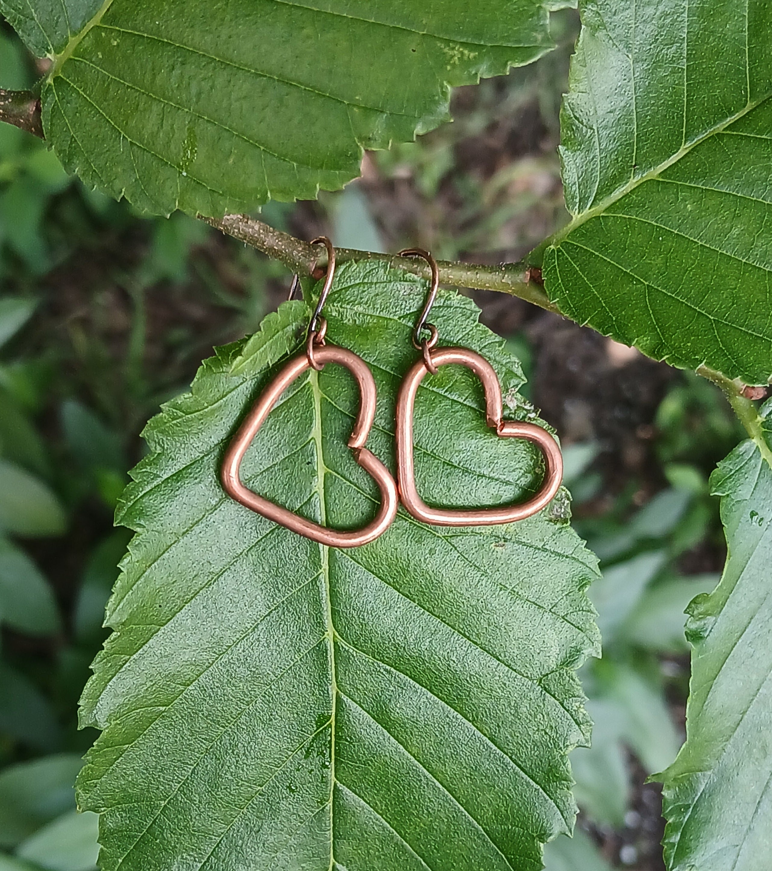 Copper heart-shaped earrings on a green leaf