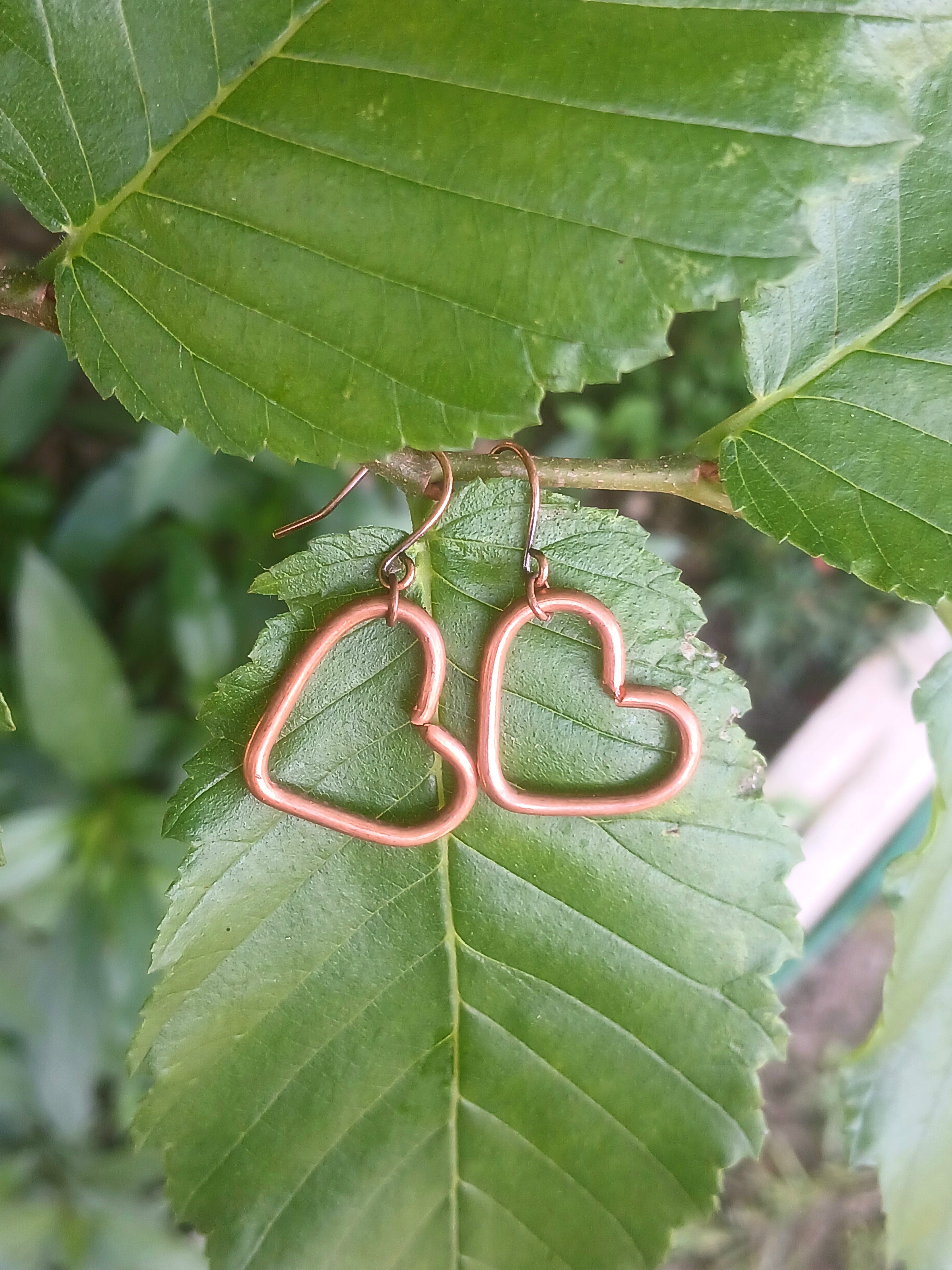Heart-shaped copper earrings on a green leaf
