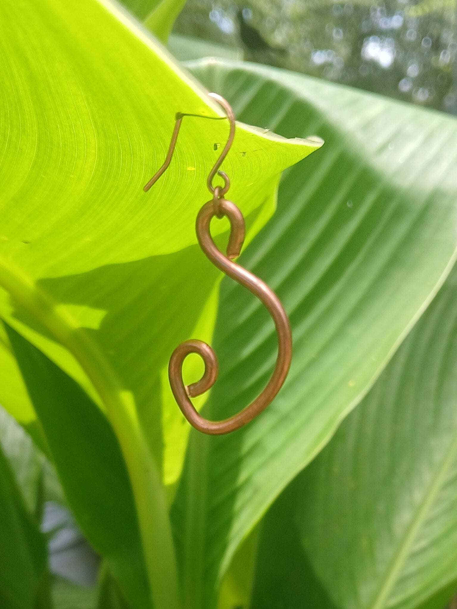 Metallic spiral object on a green leafy background