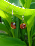 Pair of earrings with red and brown beads hanging on a green leaf
